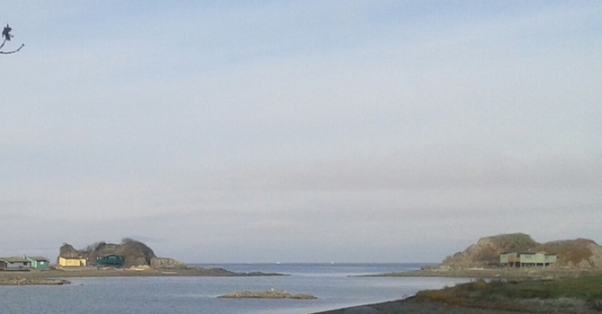 Counselling and Psychotherapy Services