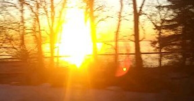 Counselling and Psychotherapy Services